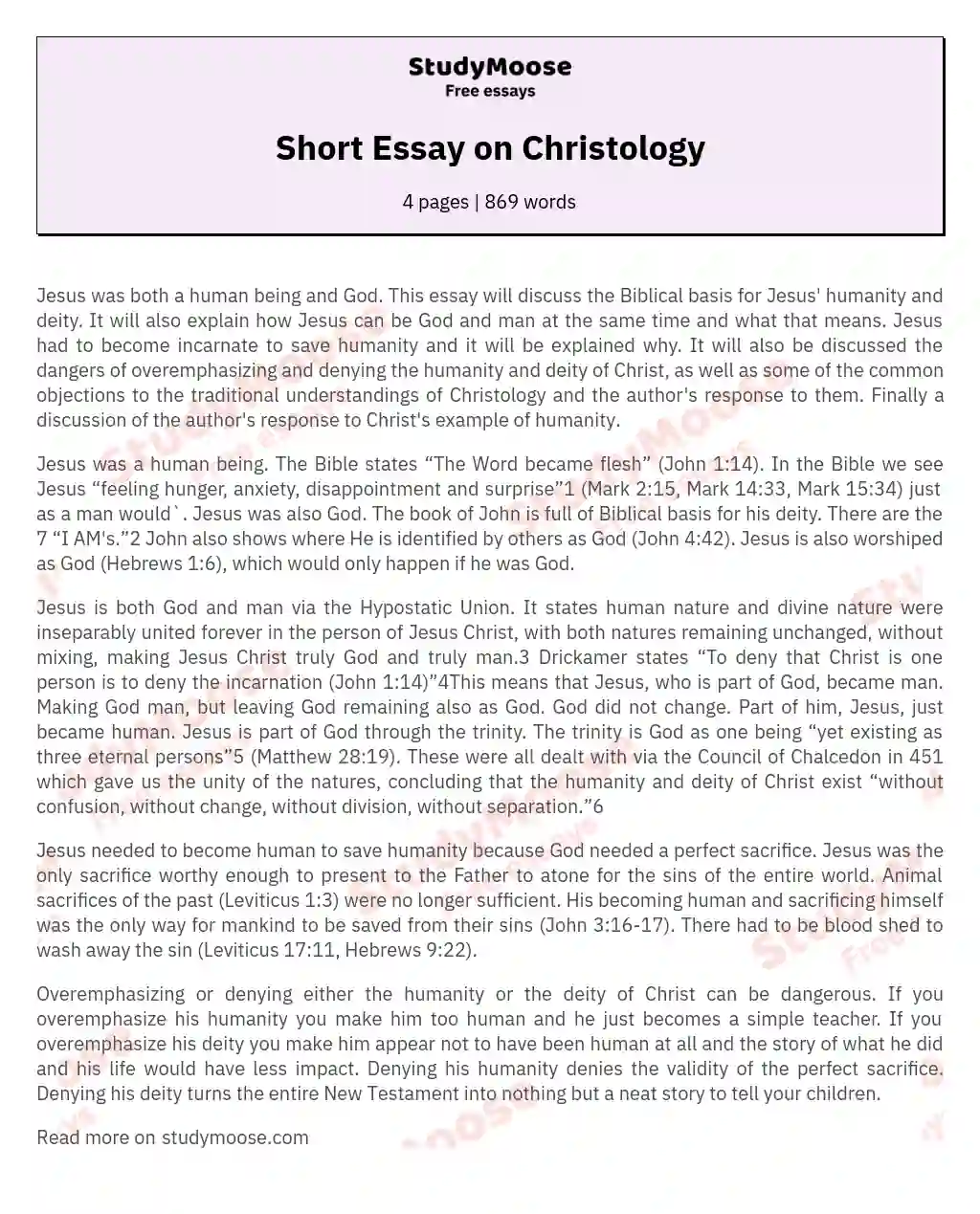 Short Essay on Christology essay