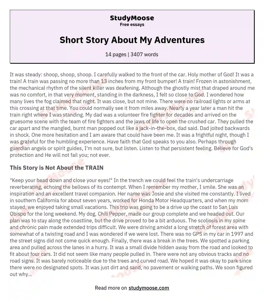 Short Story About My Adventures essay