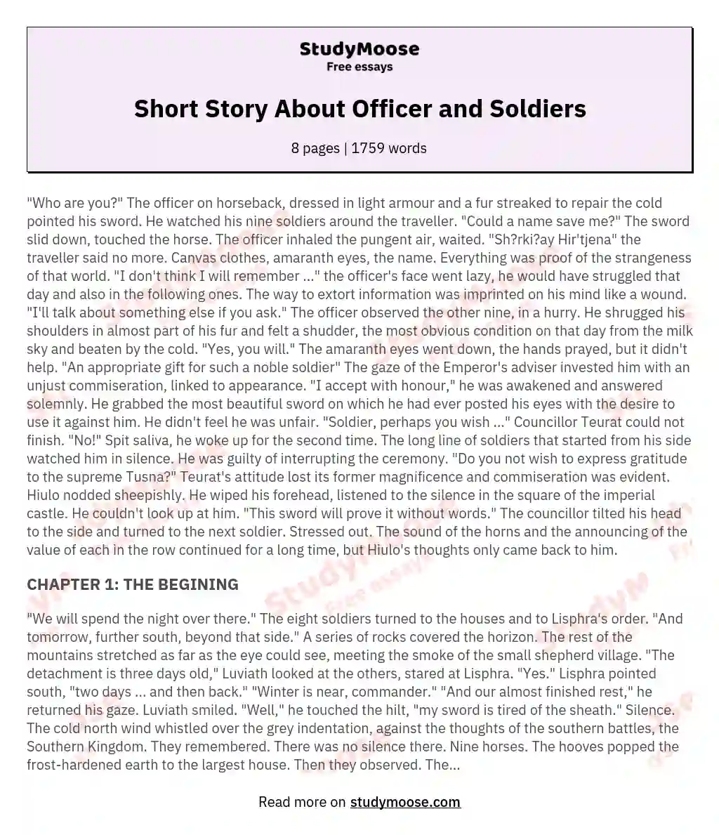 Short Story About Officer and Soldiers essay