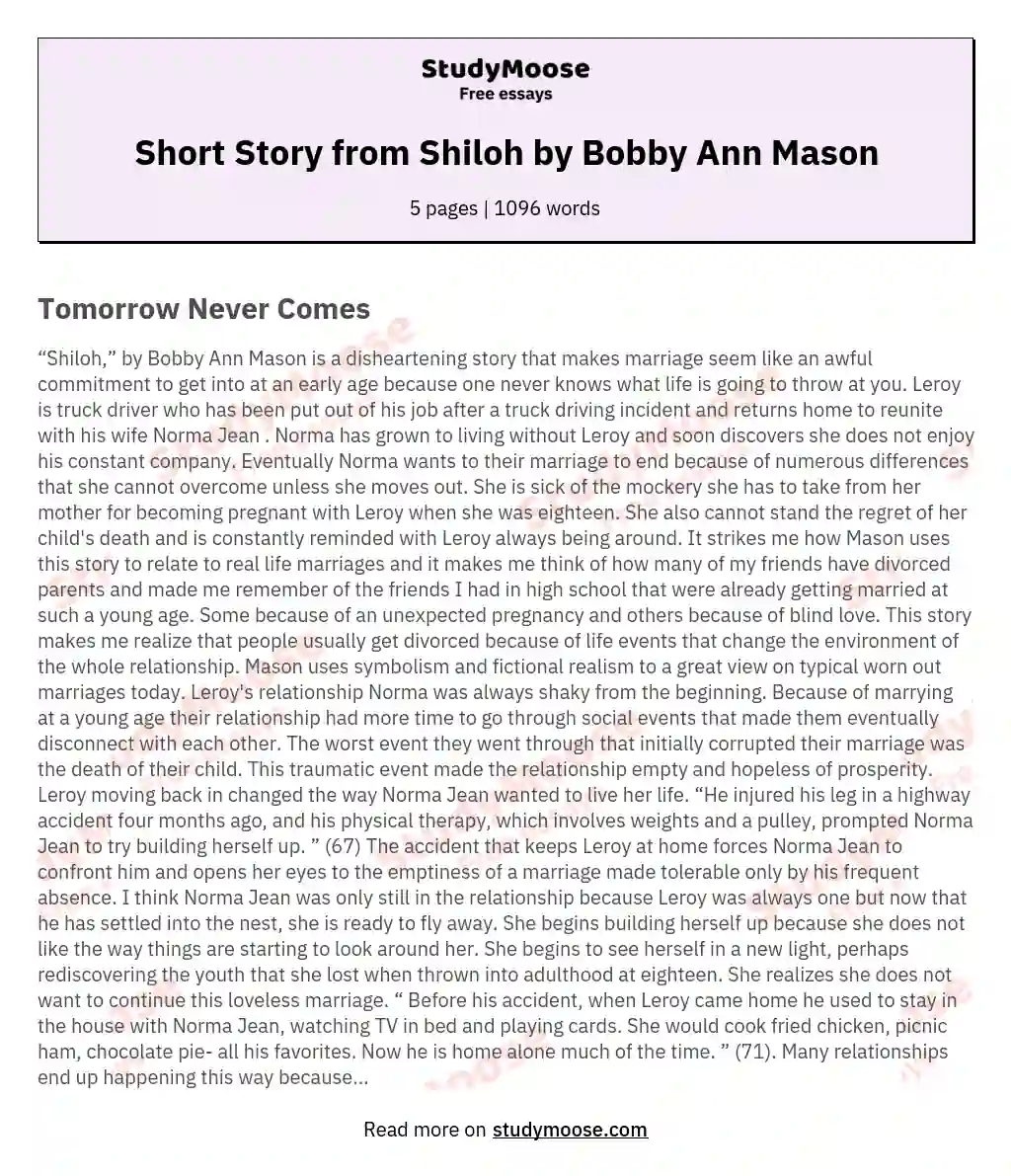 Short Story from Shiloh by Bobby Ann Mason essay