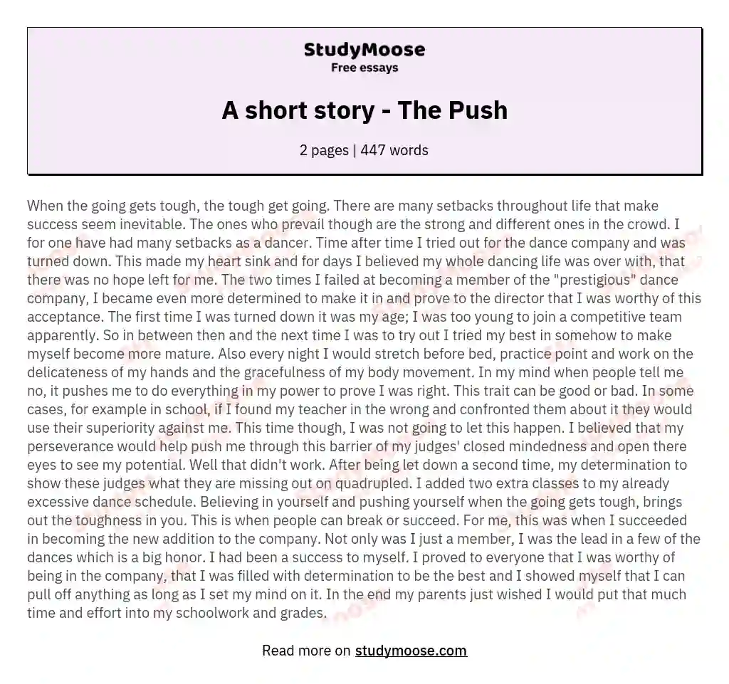 A short story - The Push essay