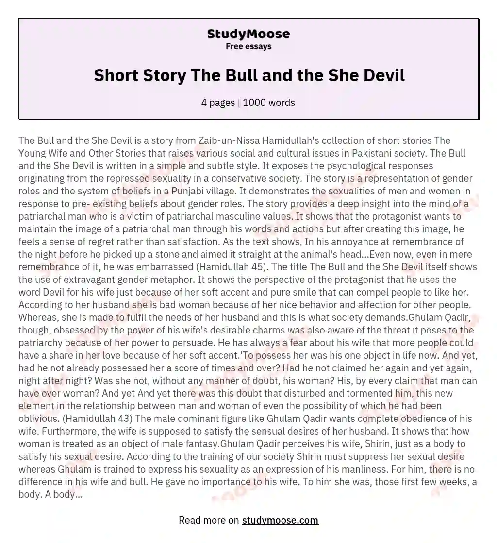 Short Story The Bull and the She Devil essay