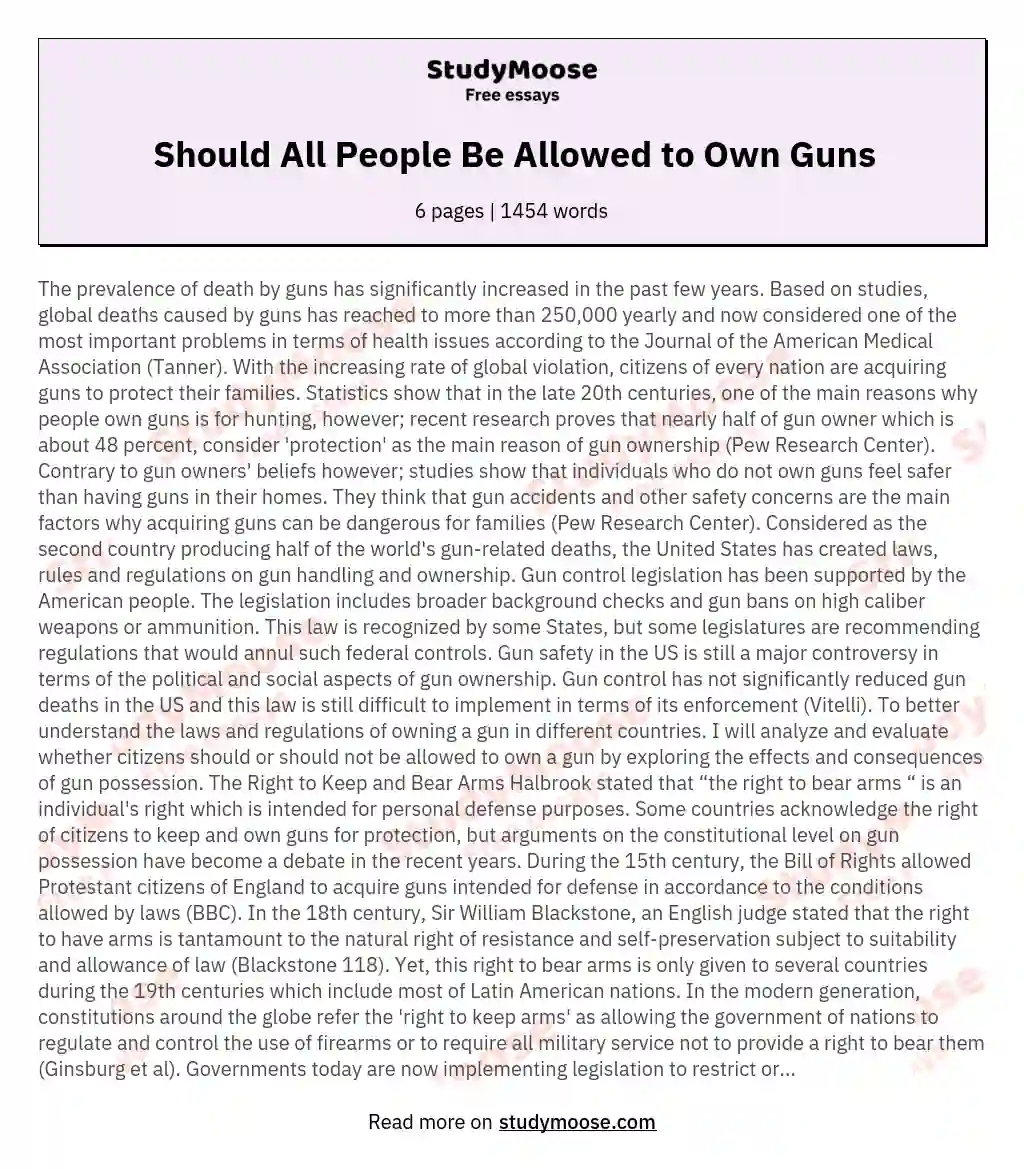 Should All People Be Allowed to Own Guns essay