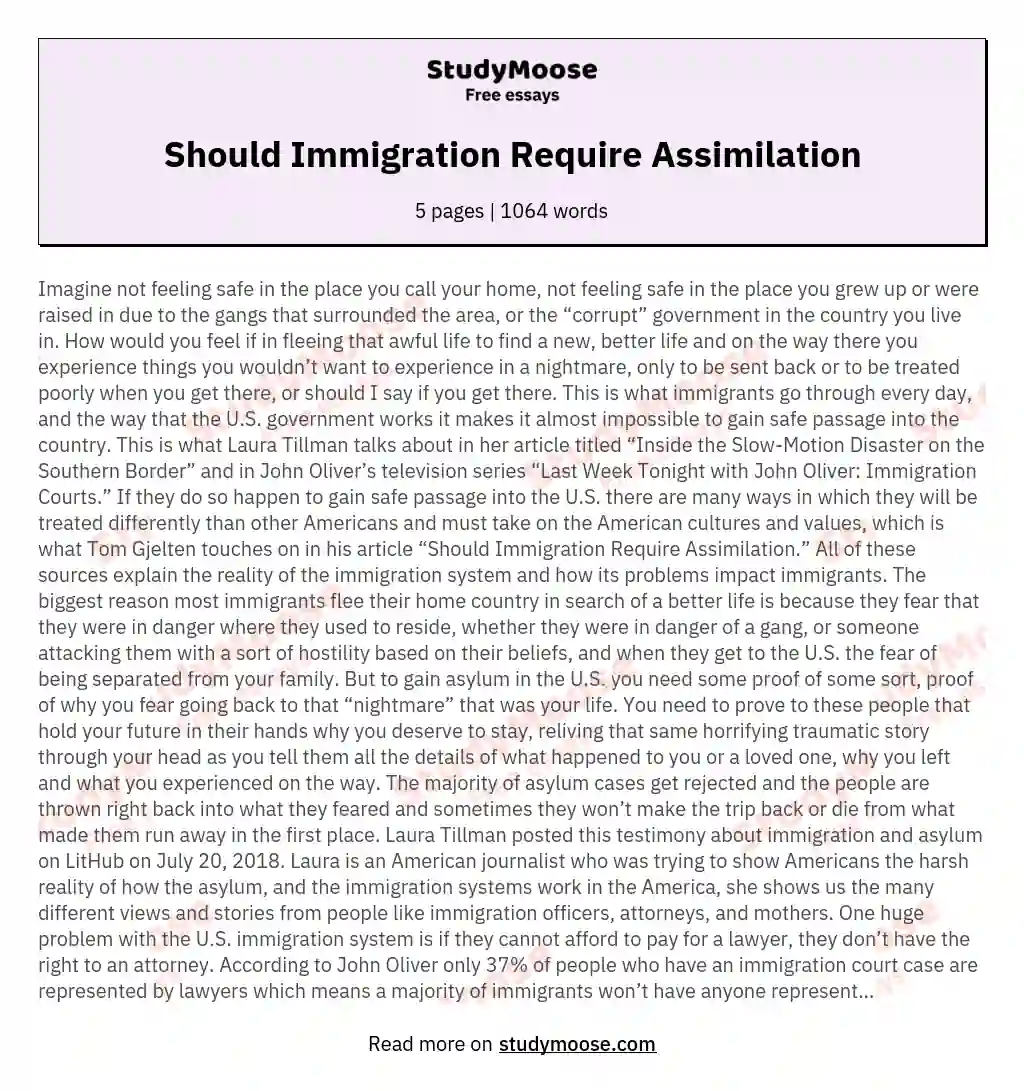 Should Immigration Require Assimilation essay