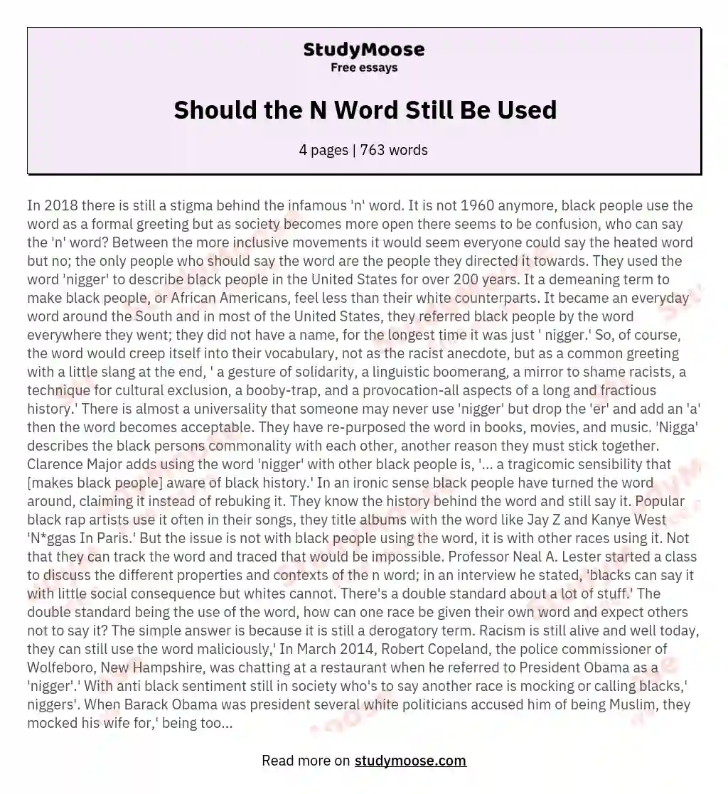 Should the N Word Still Be Used essay