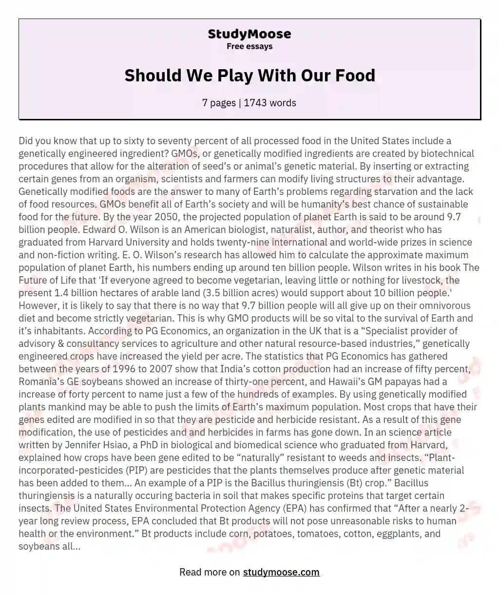 Should We Play With Our Food essay