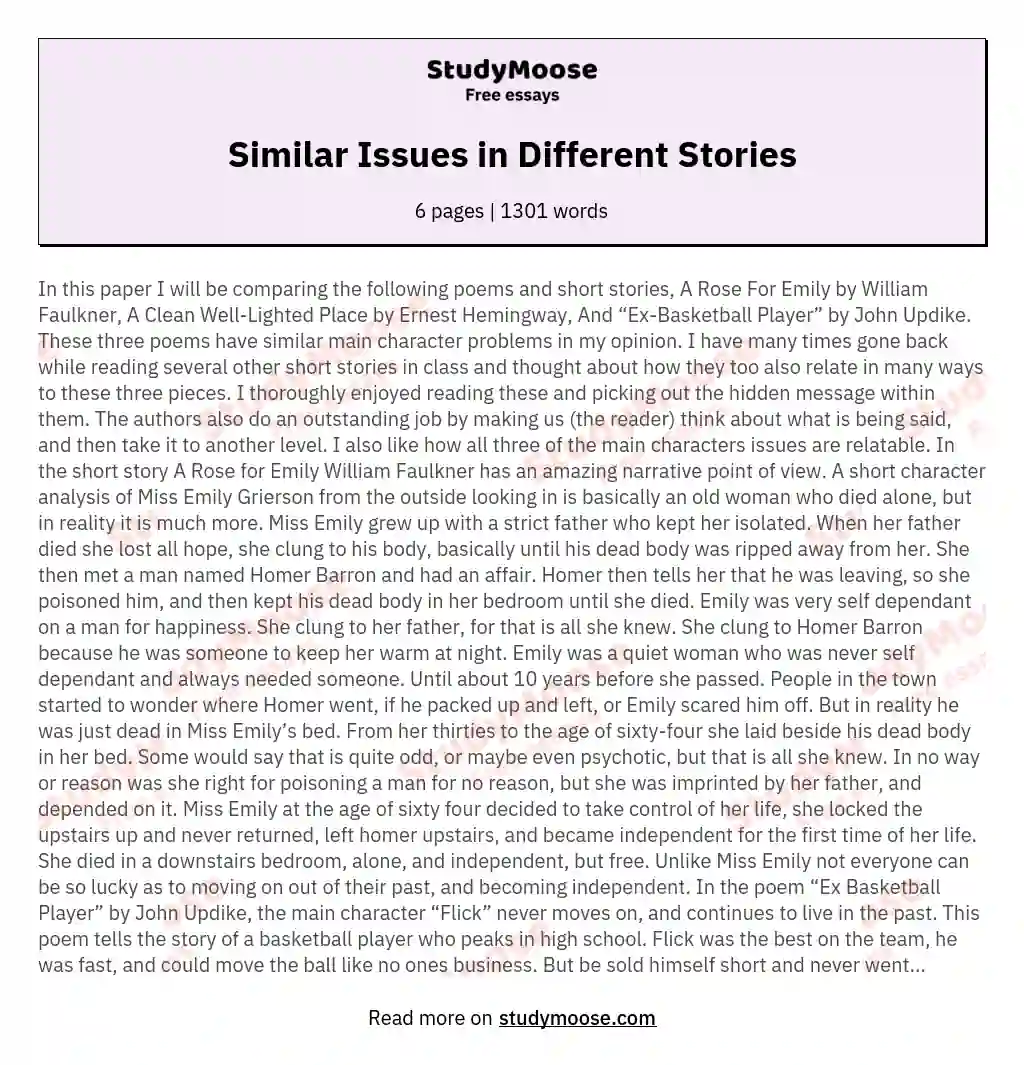 Similar Issues in Different Stories essay