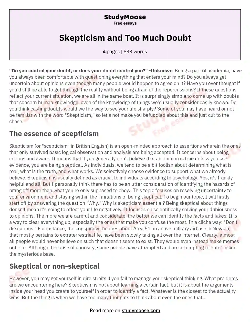 Skepticism and Too Much Doubt essay