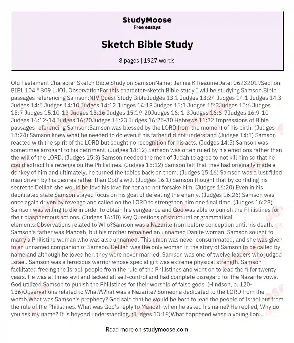 Sketch Bible Study essay