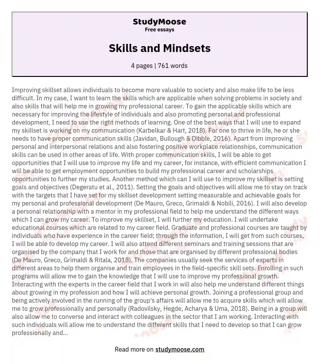 Skills and Mindsets essay