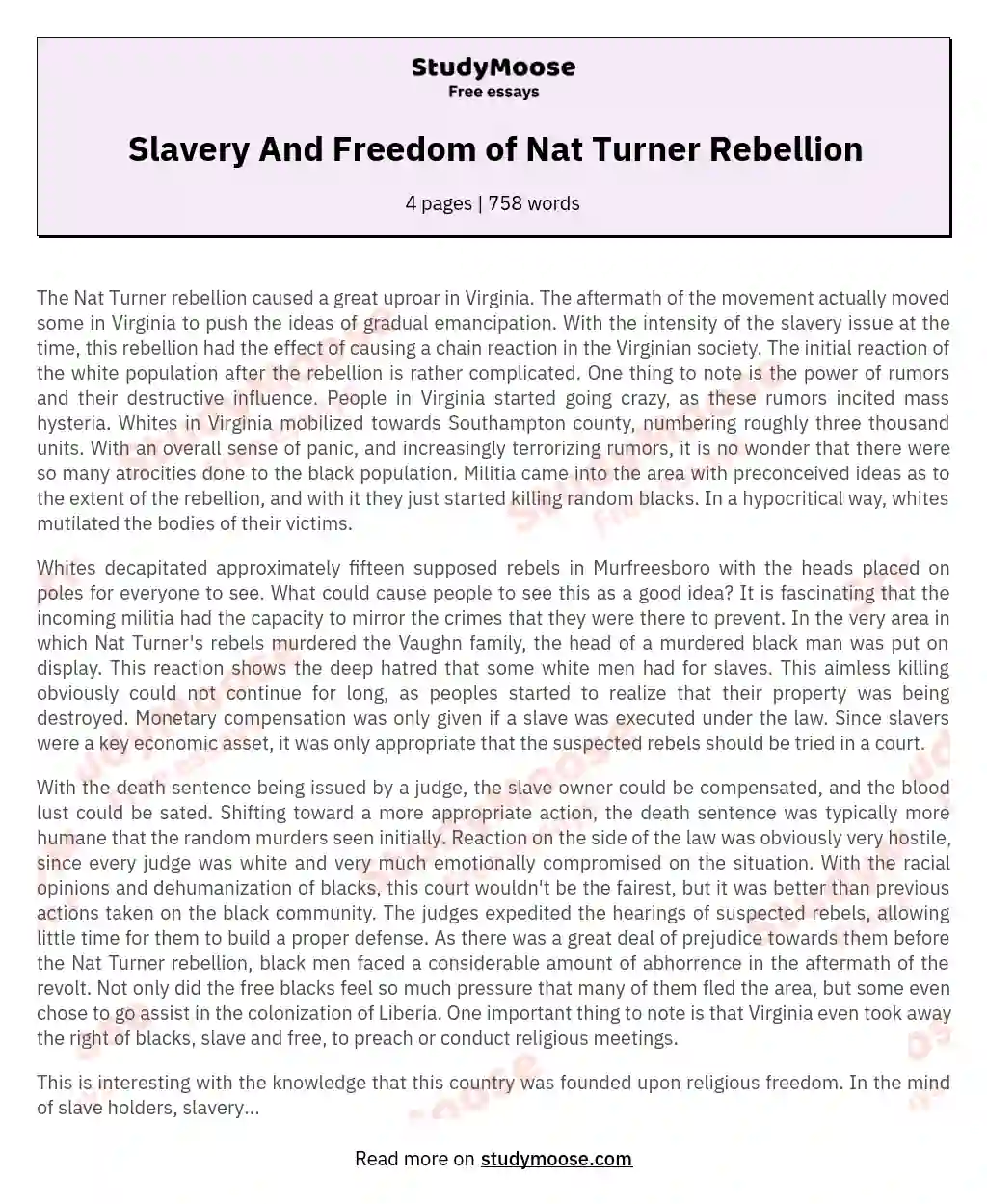 The Aftermath of the Nat Turner Rebellion in Virginia: A Complex Chain Reaction essay