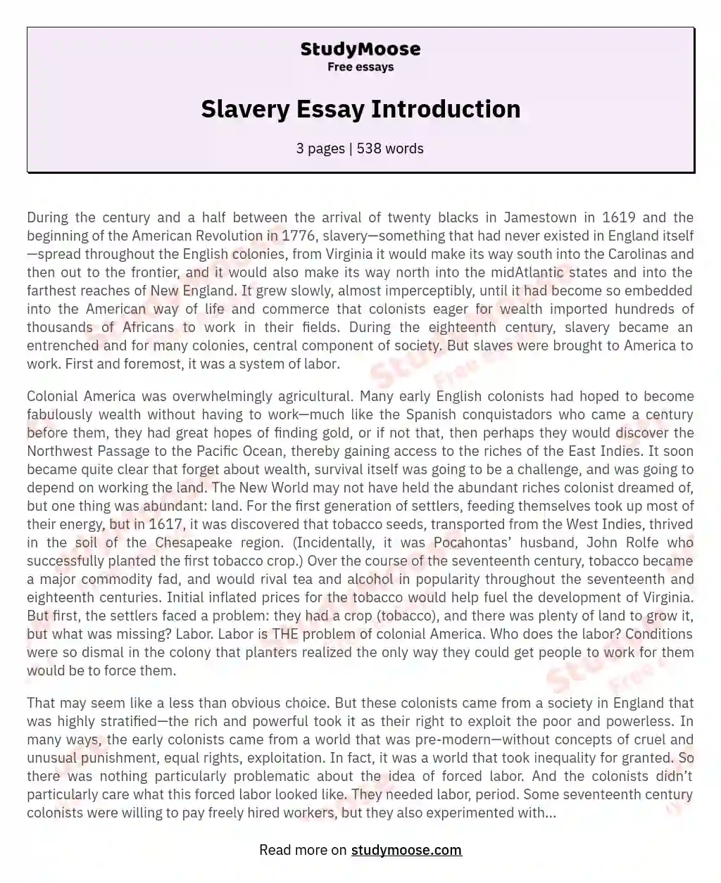 Slavery Essay Introduction
