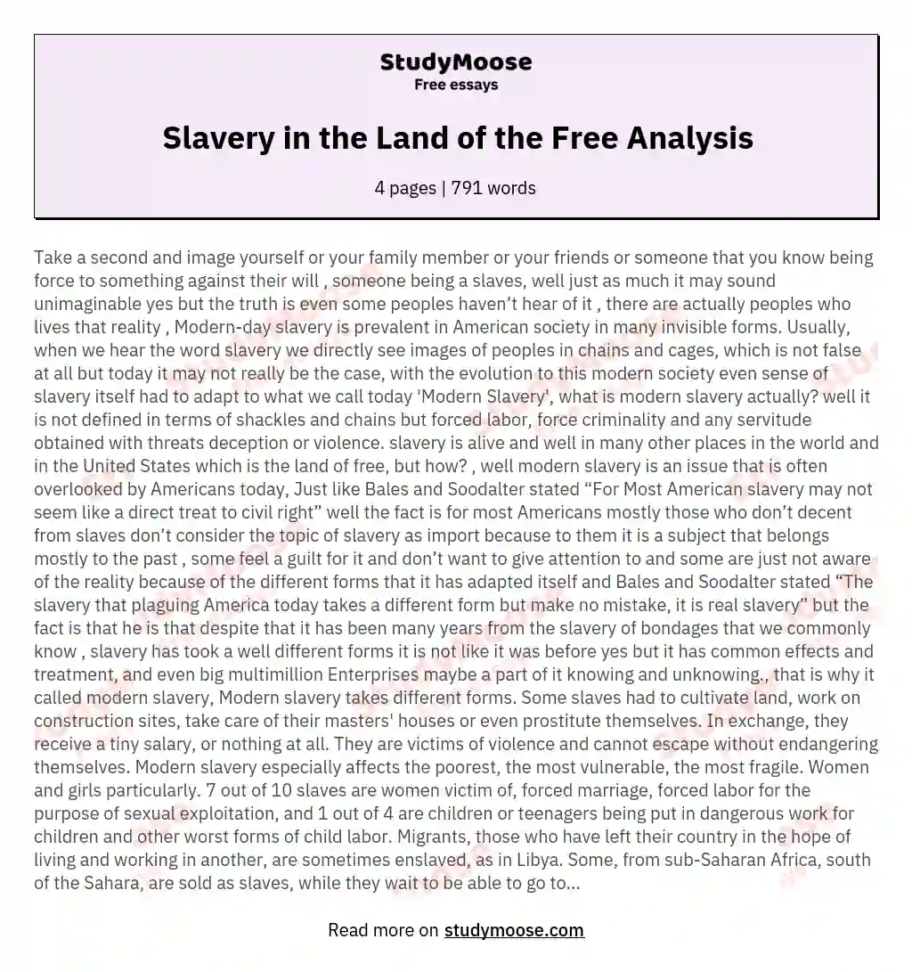 Slavery in the Land of the Free Analysis essay