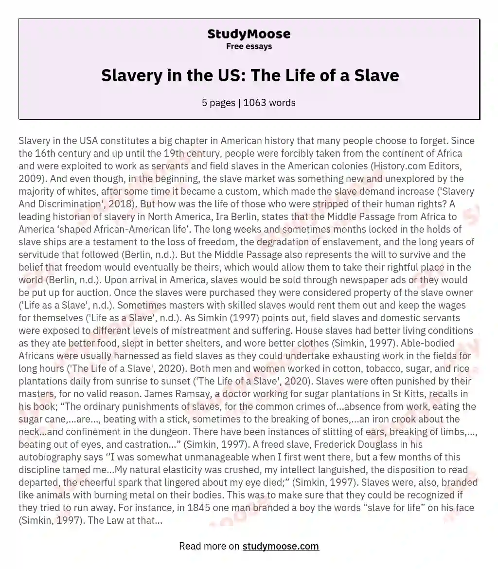 Slavery in the US: The Life of a Slave essay