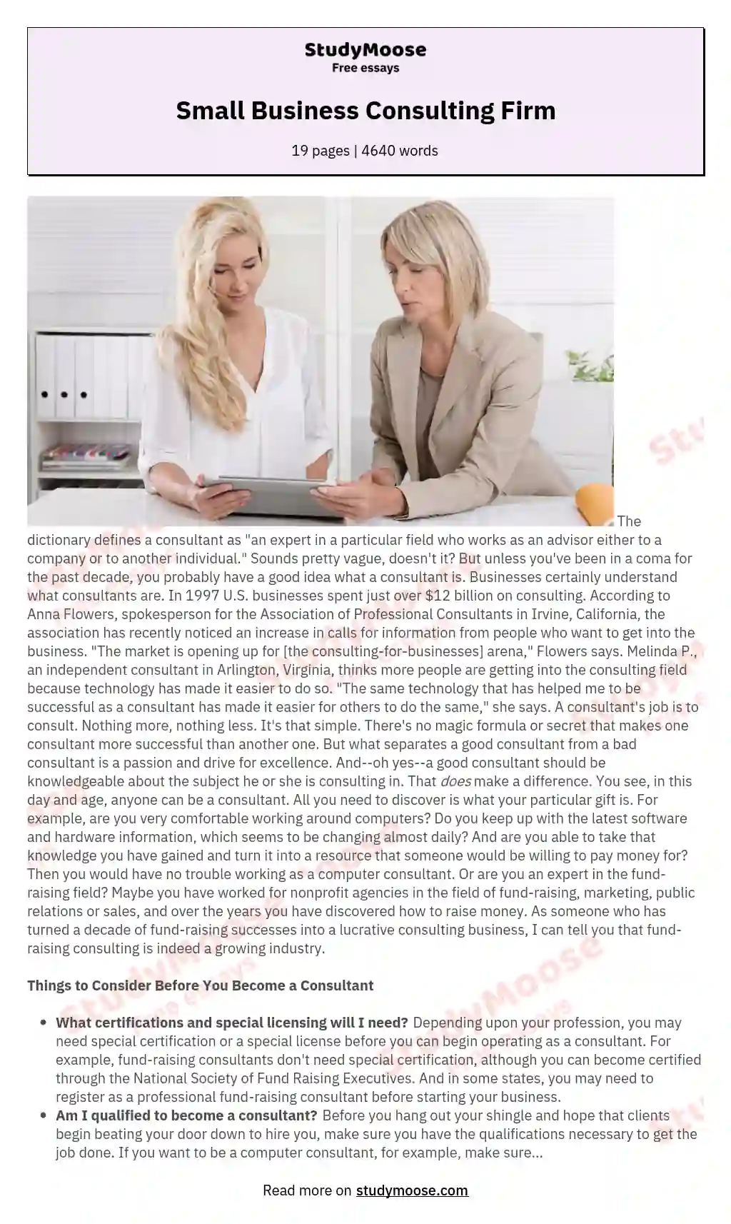 Small Business Consulting Firm Free Essay Example