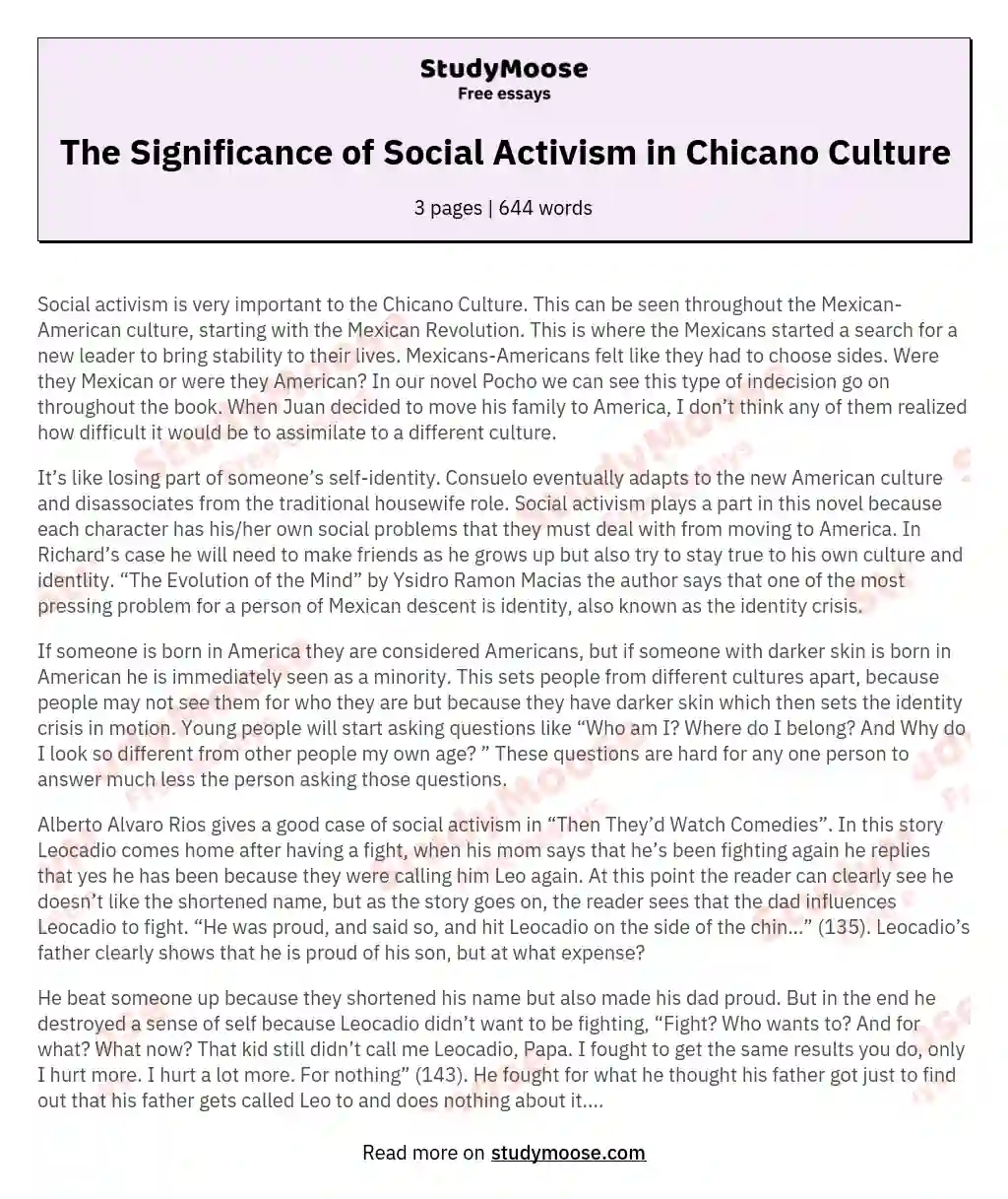 The Significance of Social Activism in Chicano Culture essay