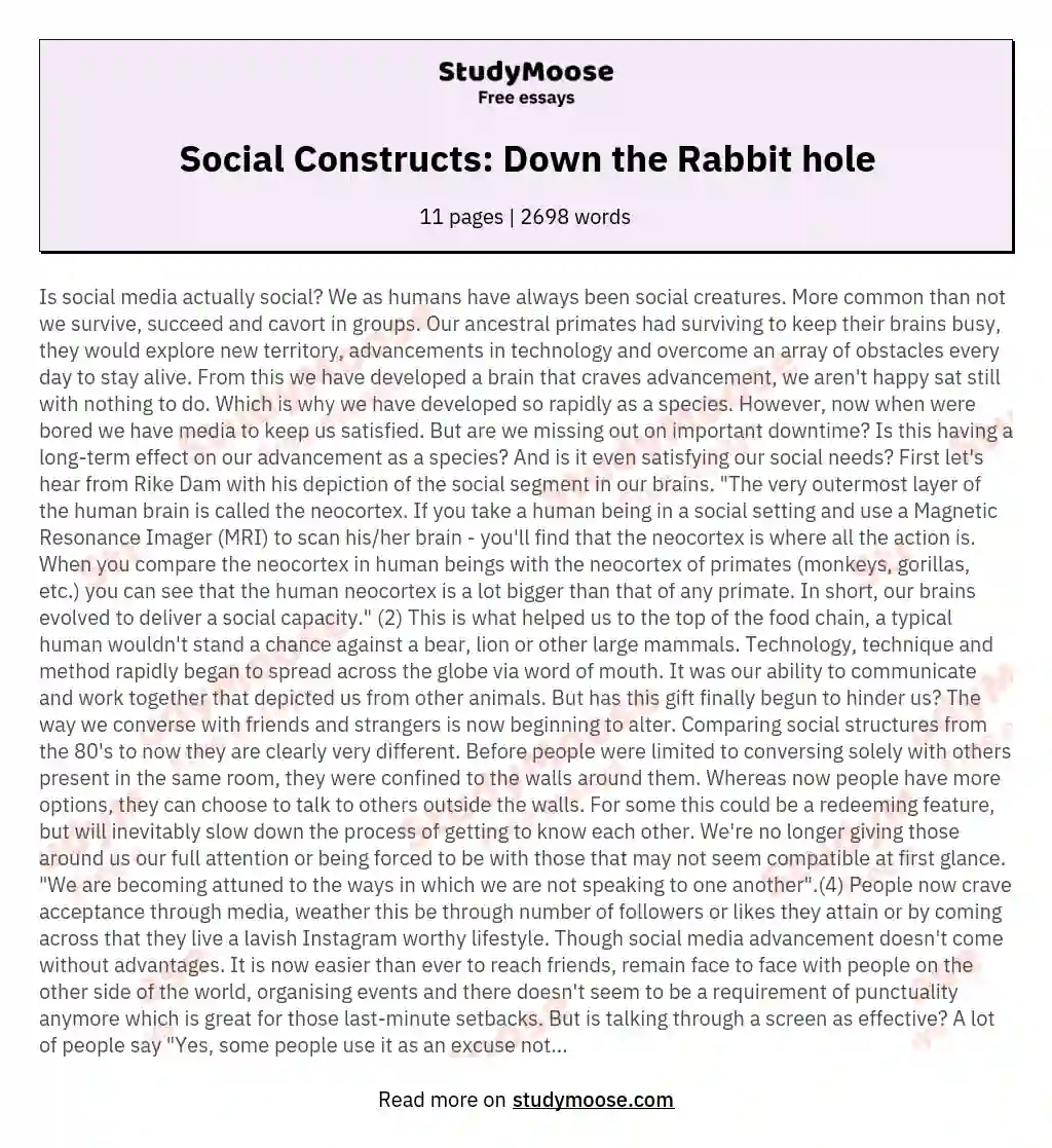 Social Constructs: Down the Rabbit hole essay