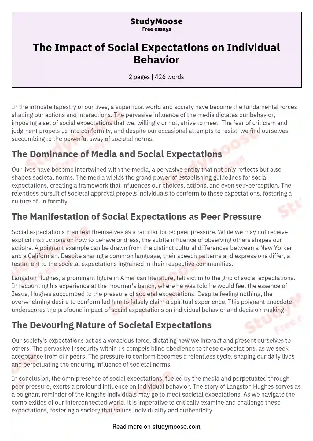 The Impact of Social Expectations on Individual Behavior essay