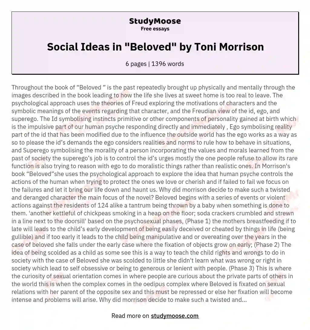 Social Ideas in "Beloved" by Toni Morrison essay