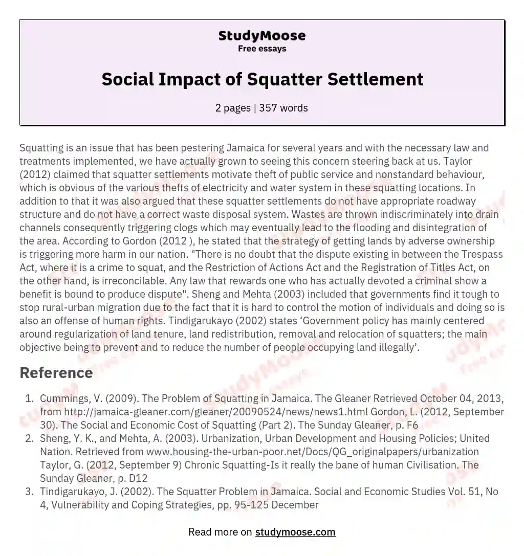Social Impact of Squatter Settlement essay