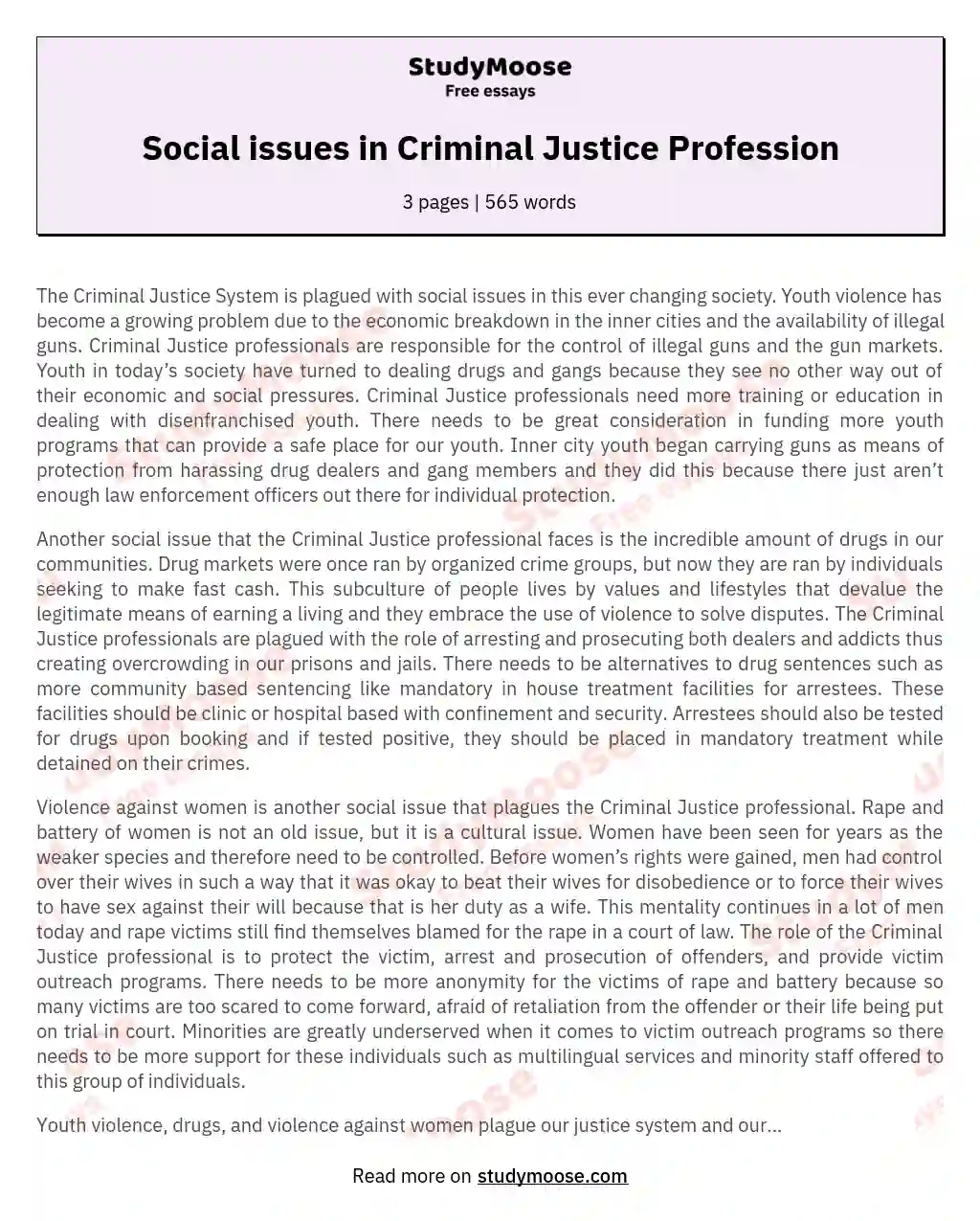 Social issues in Criminal Justice Profession essay