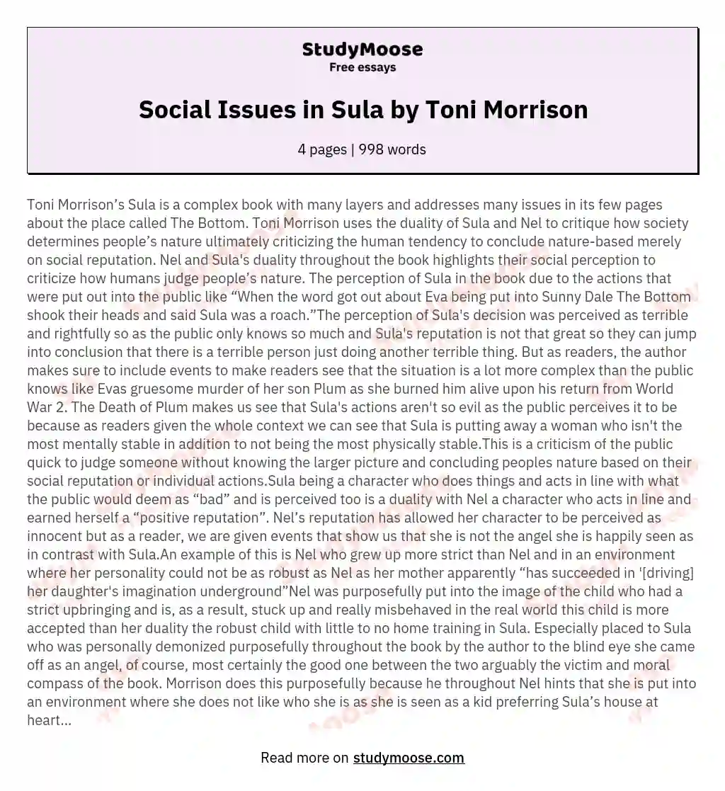 Social Issues in Sula by Toni Morrison essay