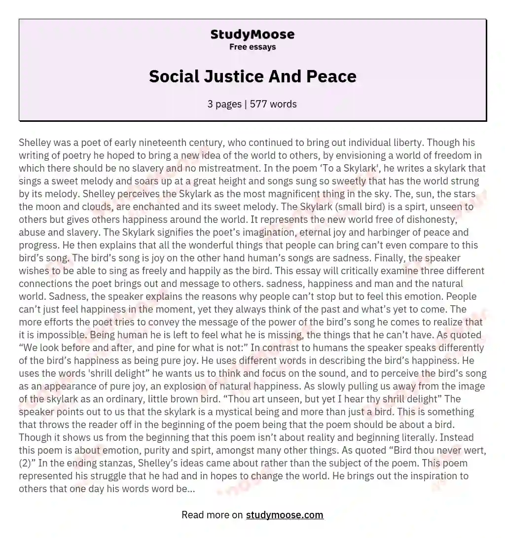 Social Justice And Peace essay
