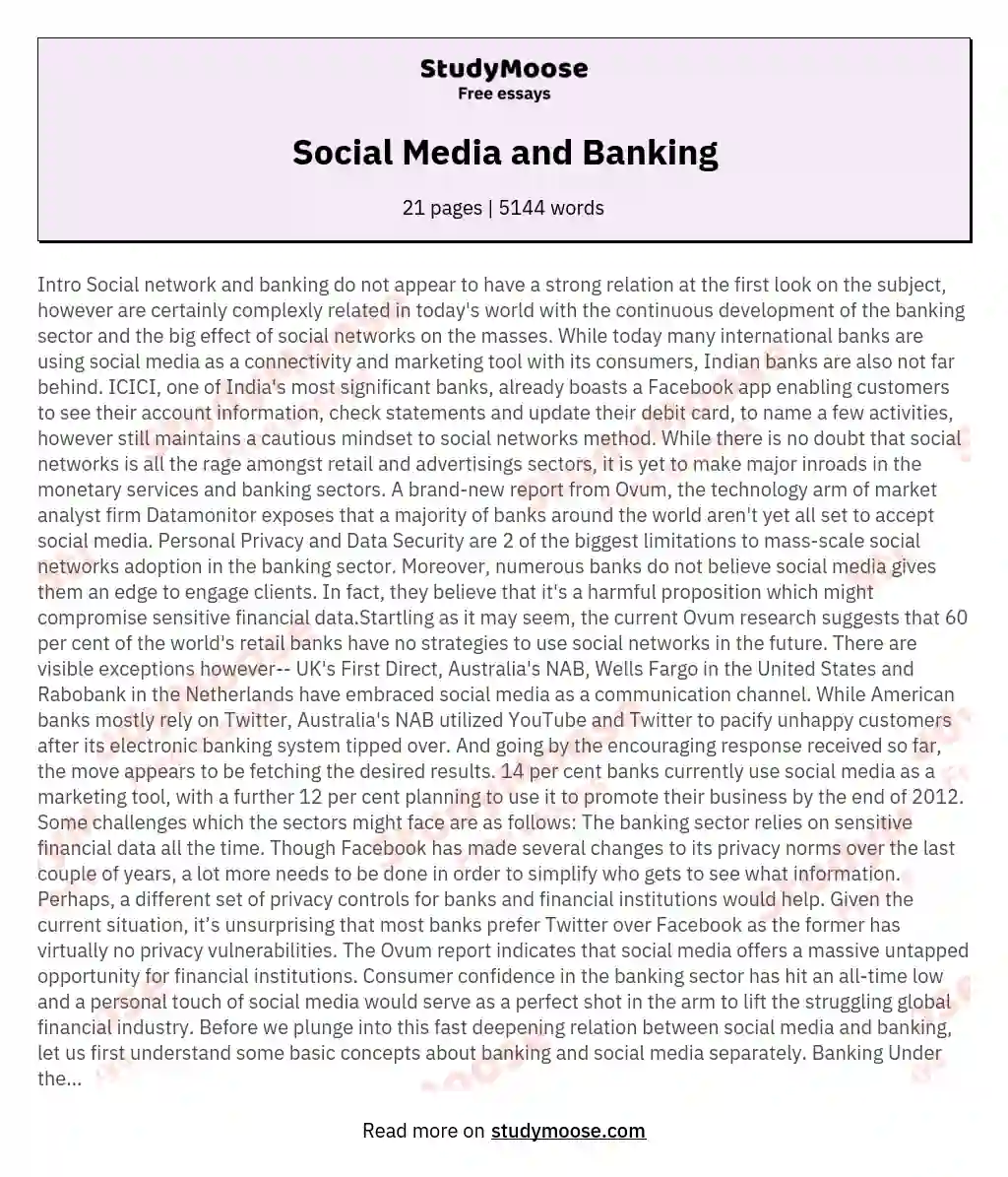 Social Media and Banking essay
