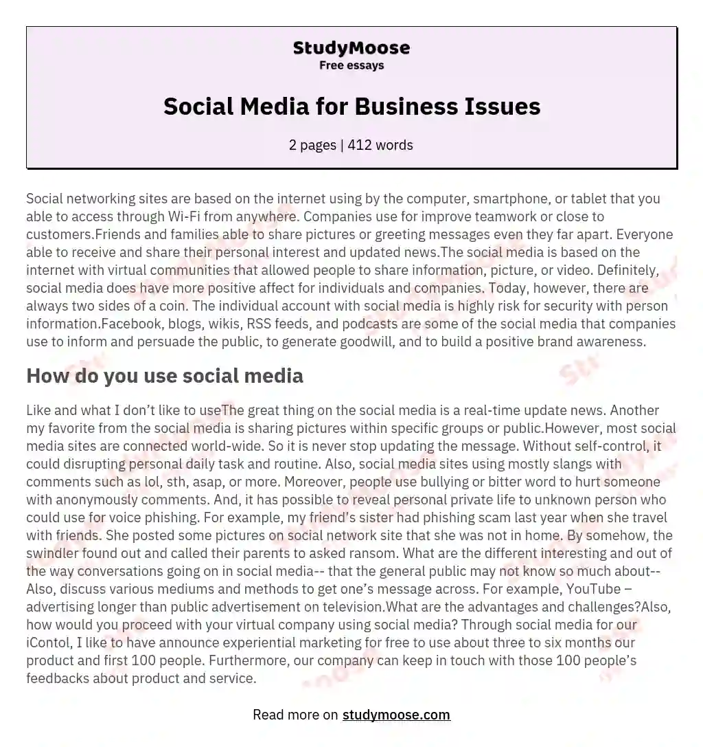 Social Media for Business Issues essay