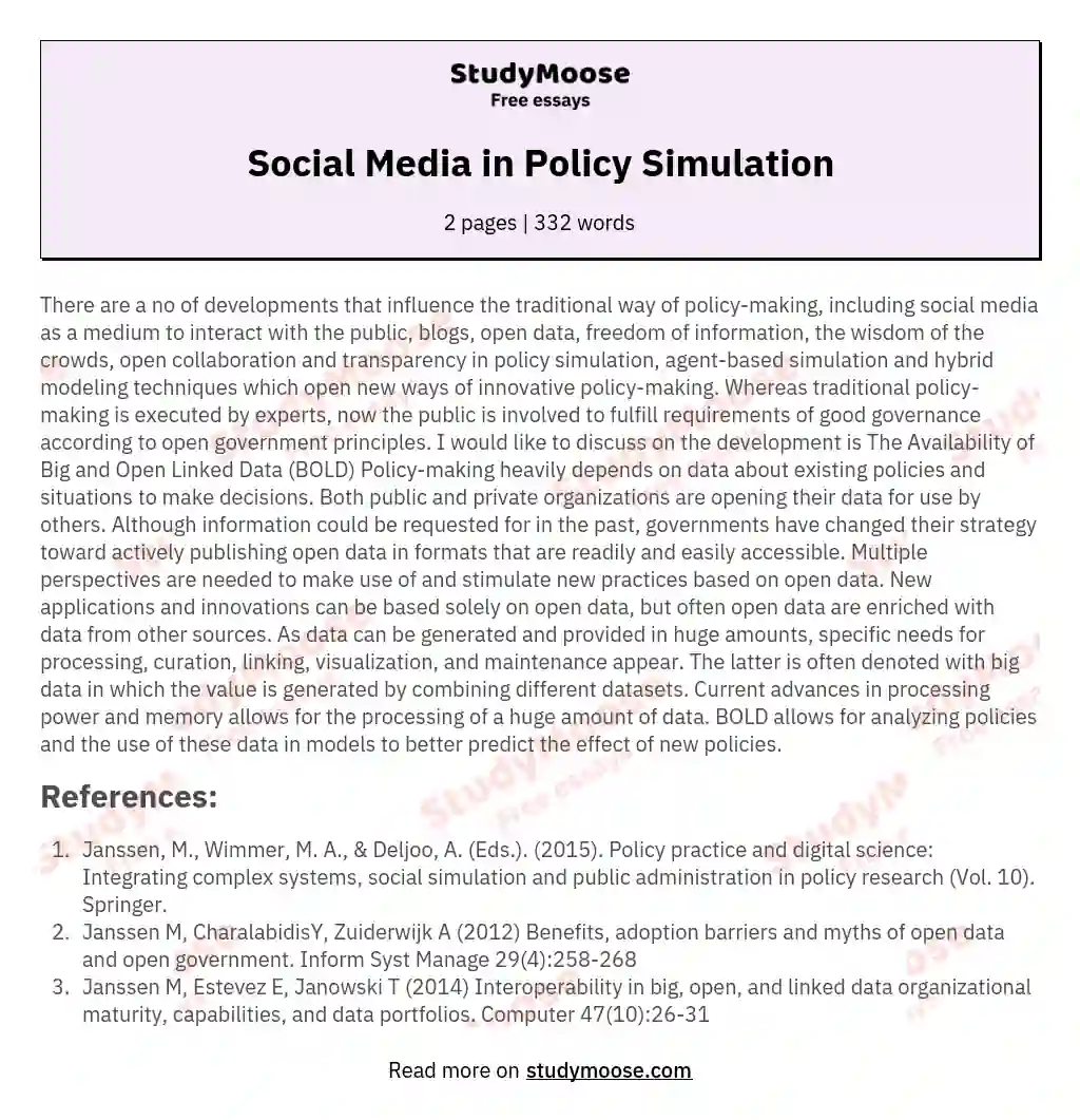 Social Media in Policy Simulation essay