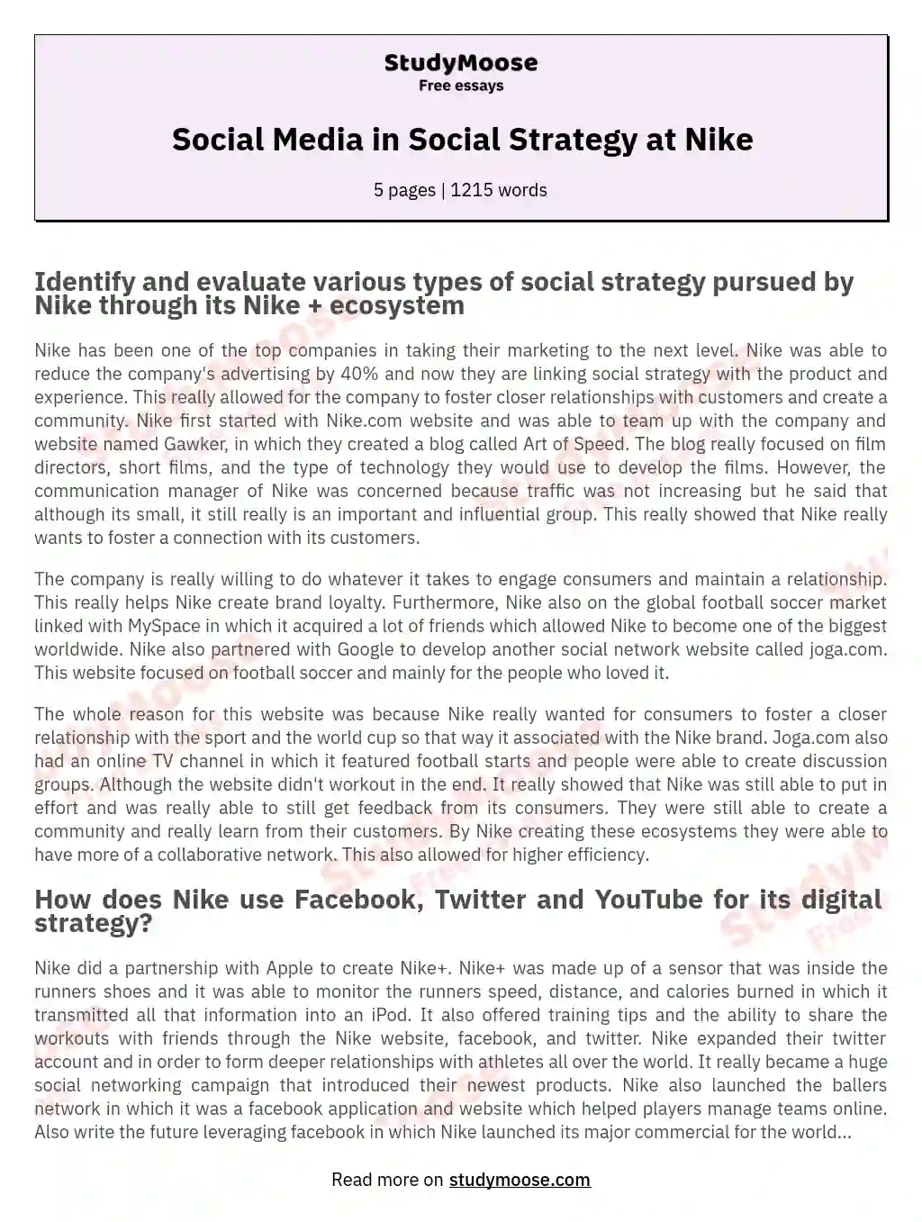 Social Media in Social Strategy at Nike essay