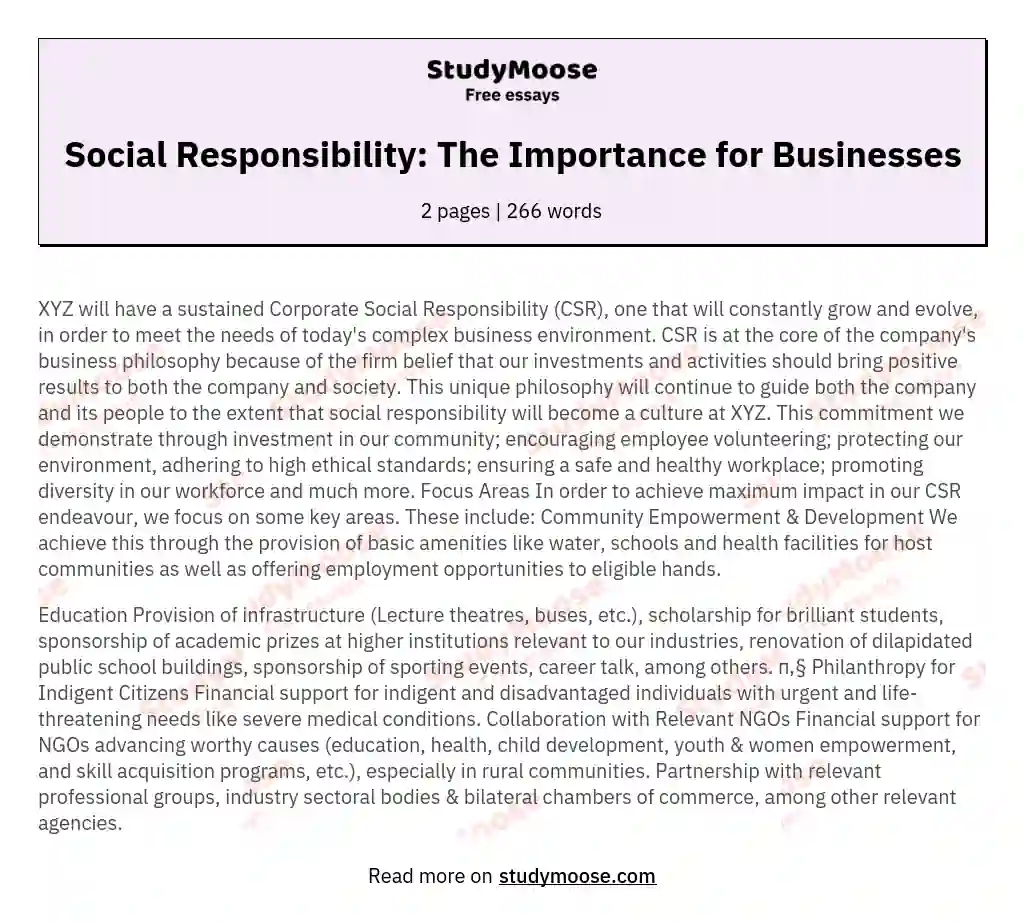 Social Responsibility: The Importance for Businesses essay