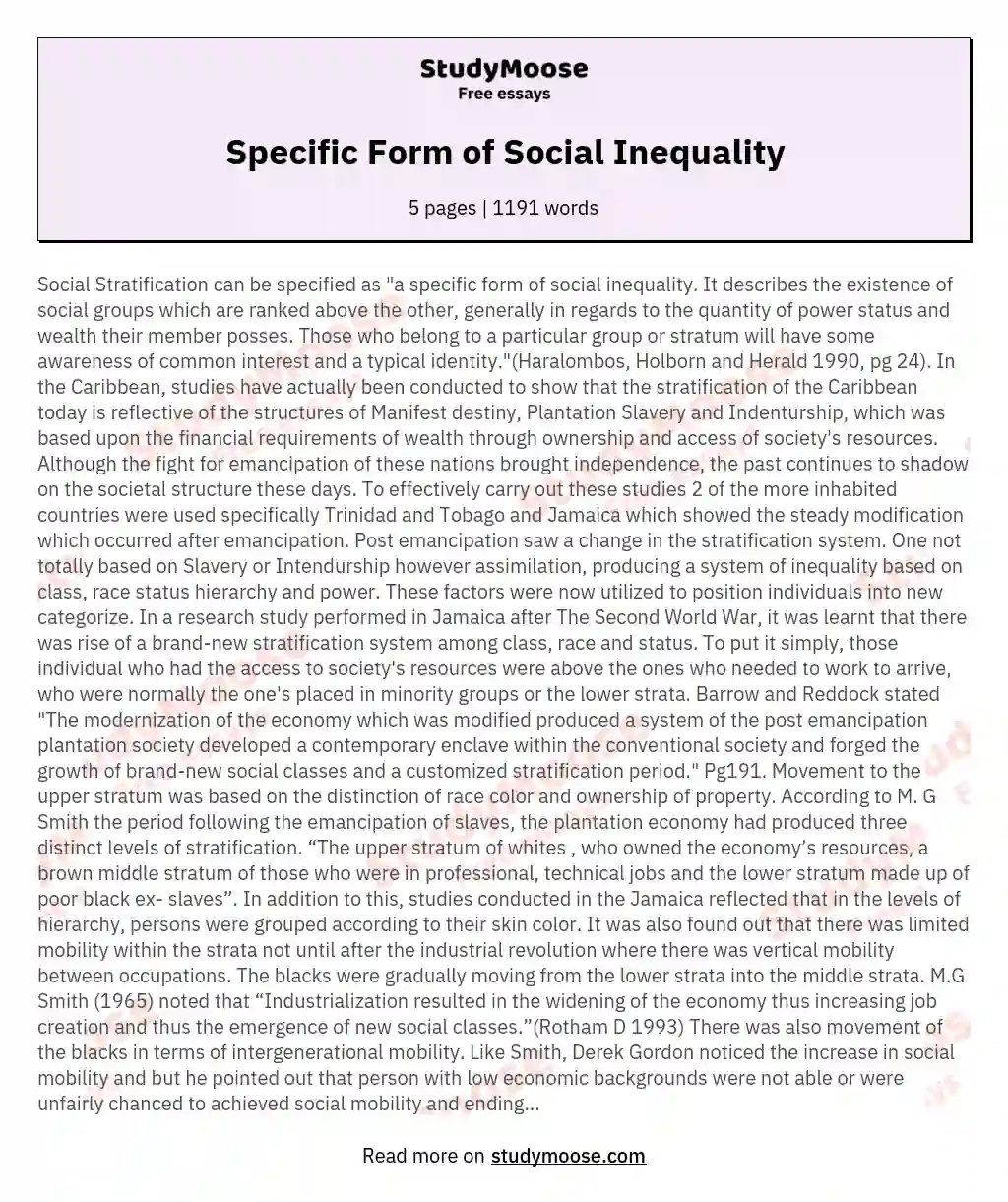 Specific Form of Social Inequality