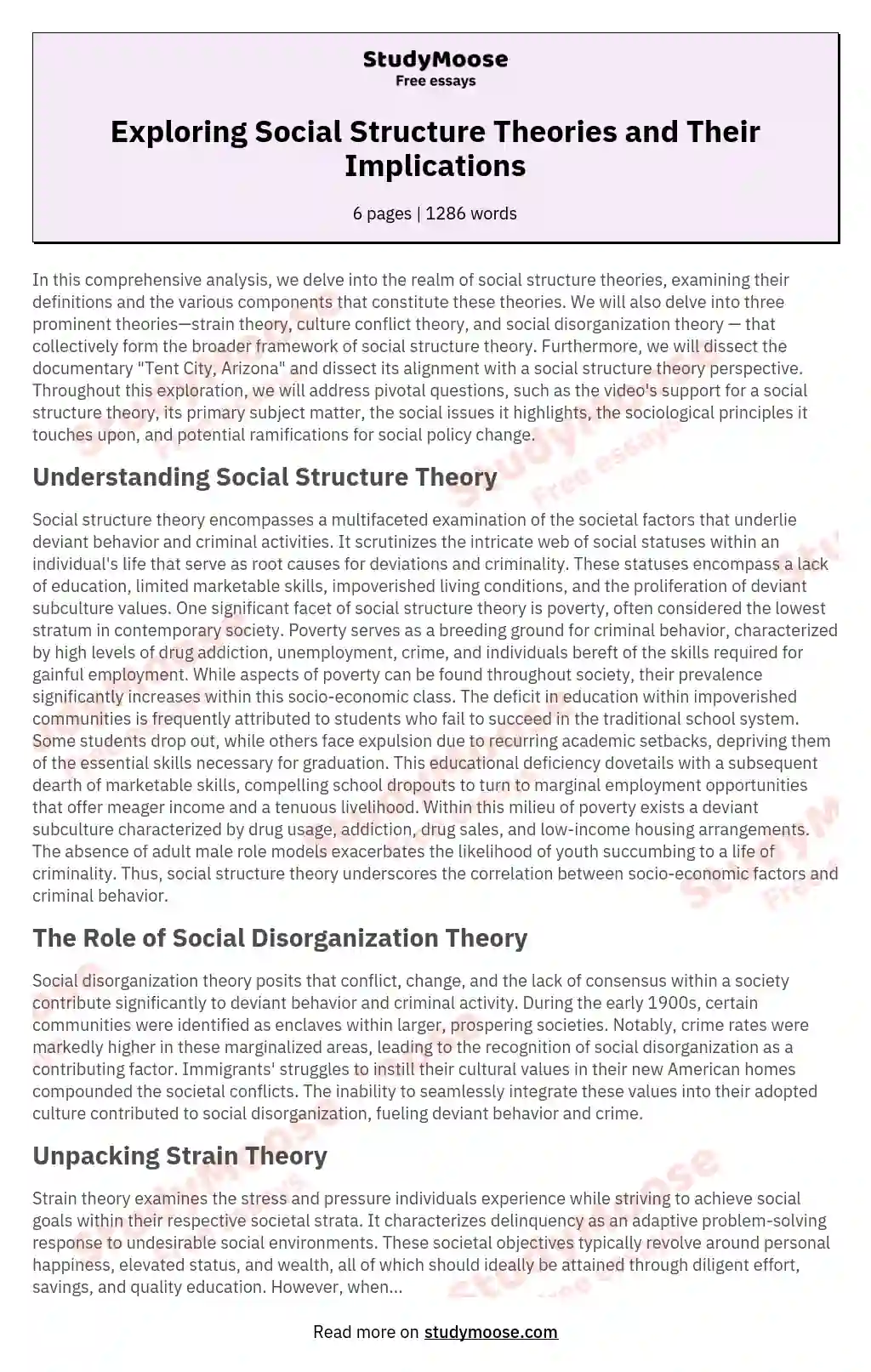 Social structure theory paper