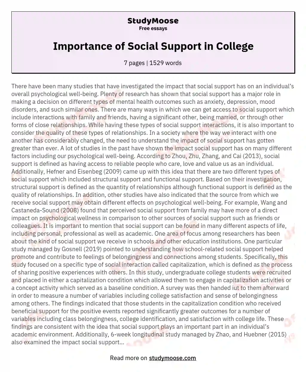 Importance of Social Support in College essay