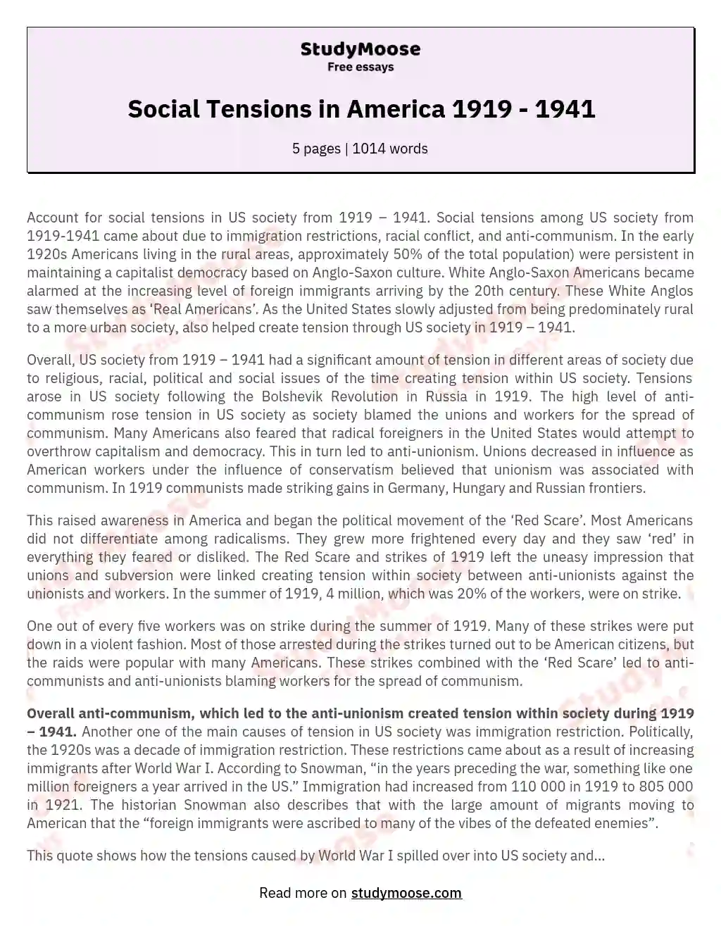 Social Tensions in America 1919 - 1941 essay