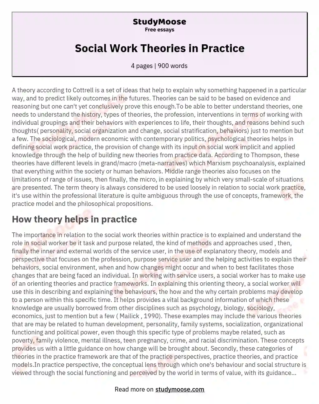 Social Work Theories in Practice essay