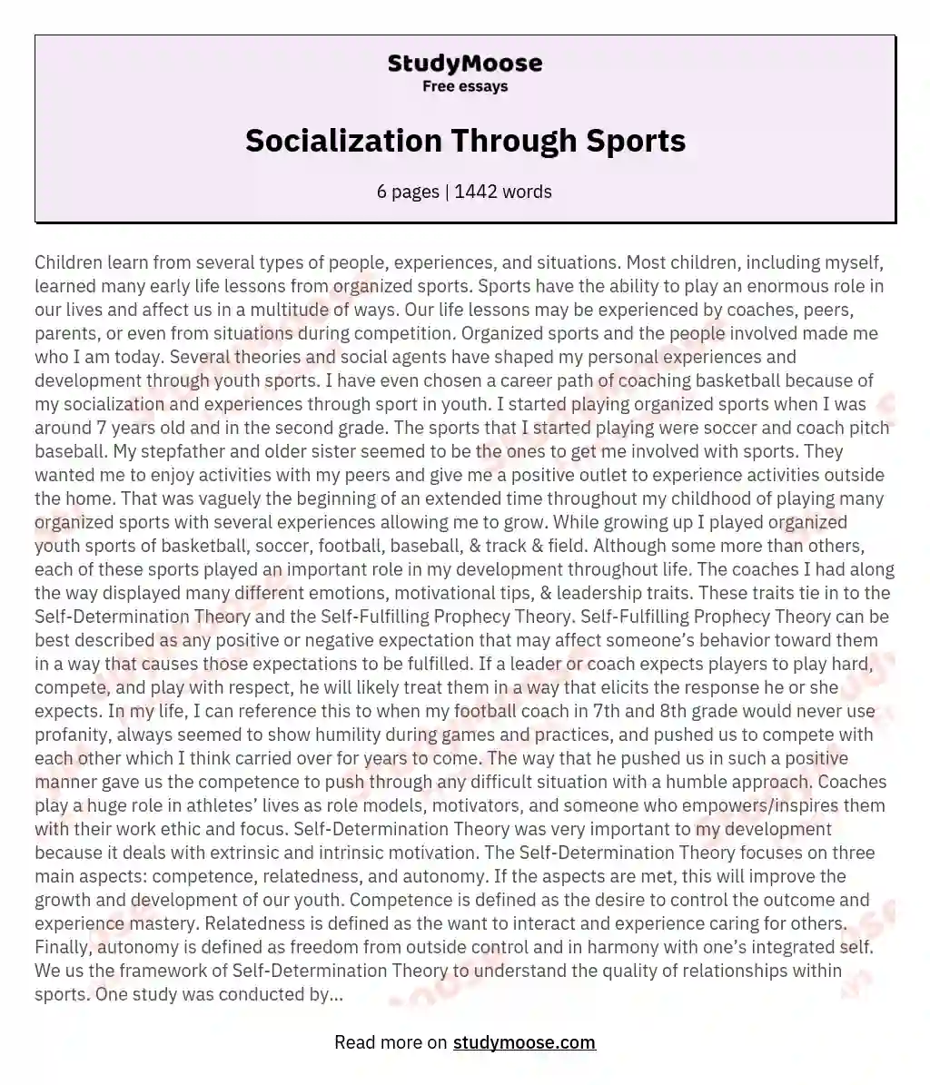 Socialization Through Sports essay