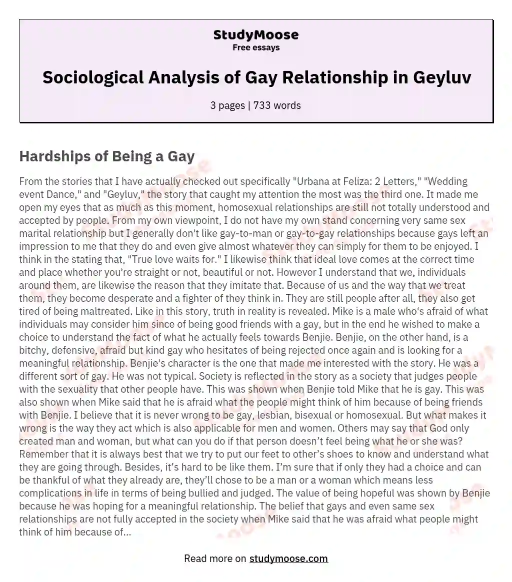 Sociological Analysis of Gay Relationship in Geyluv essay