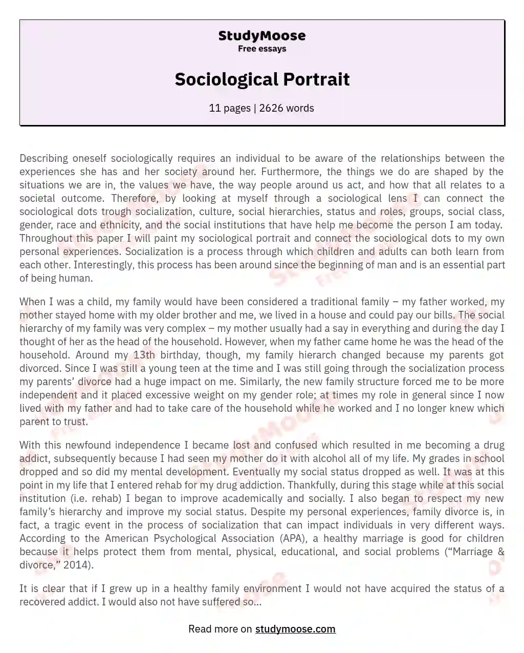 Sociological Portrait essay
