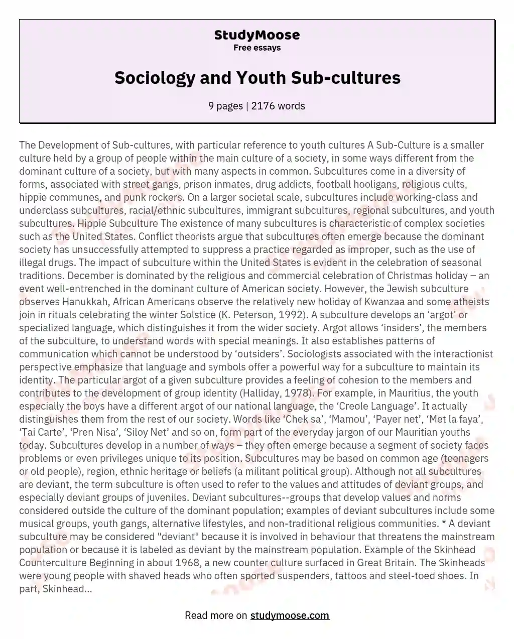 Sociology and Youth Sub-cultures essay