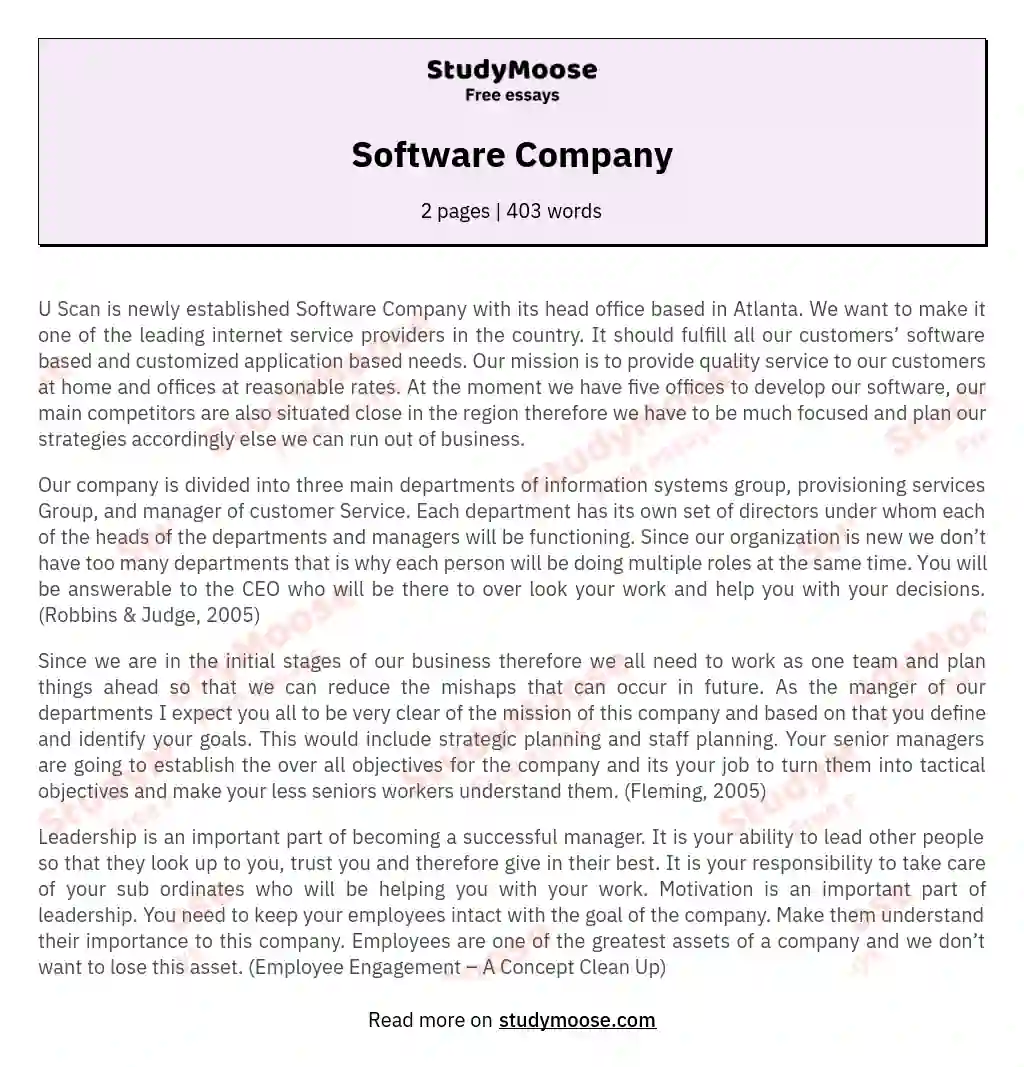 essay about software company