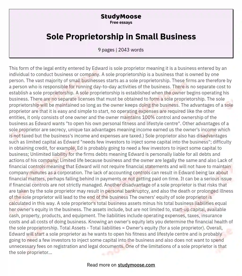 Sole Proprietorship in Small Business essay