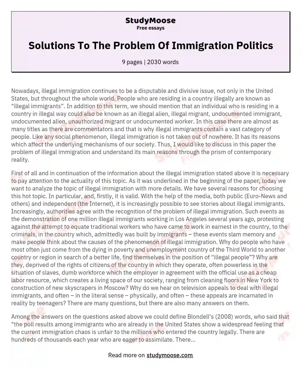Solutions To The Problem Of Immigration Politics essay