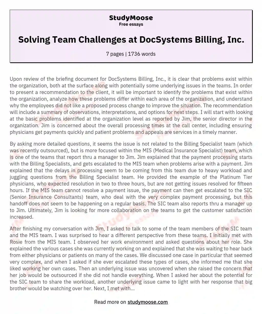 Solving Team Challenges at DocSystems Billing, Inc. essay