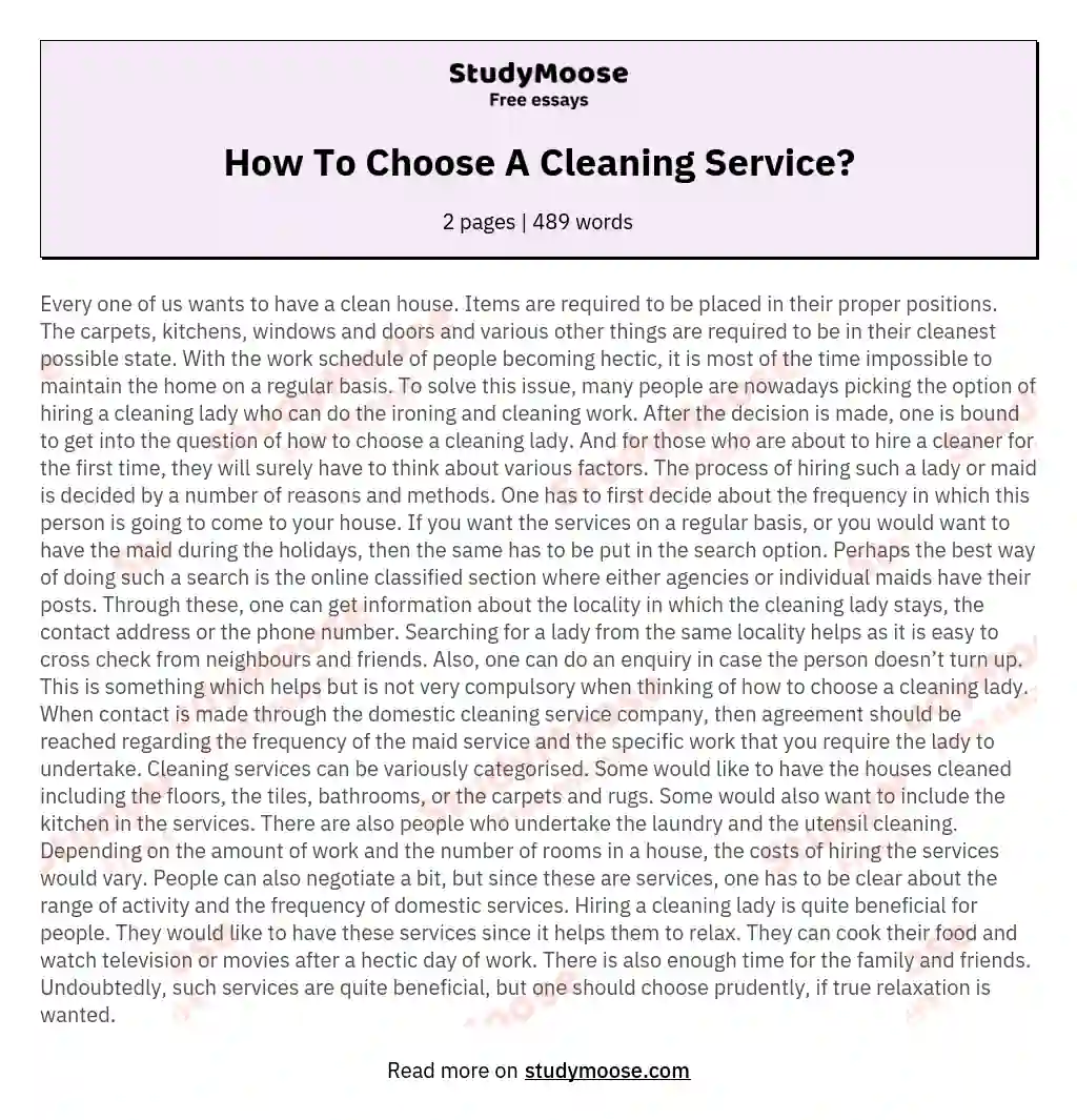 cleaning services business essay
