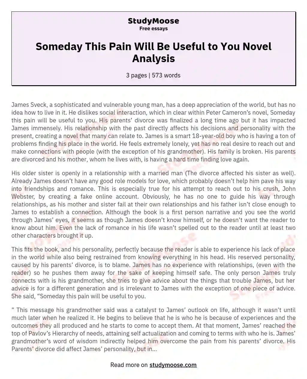Someday This Pain Will Be Useful to You Novel Analysis