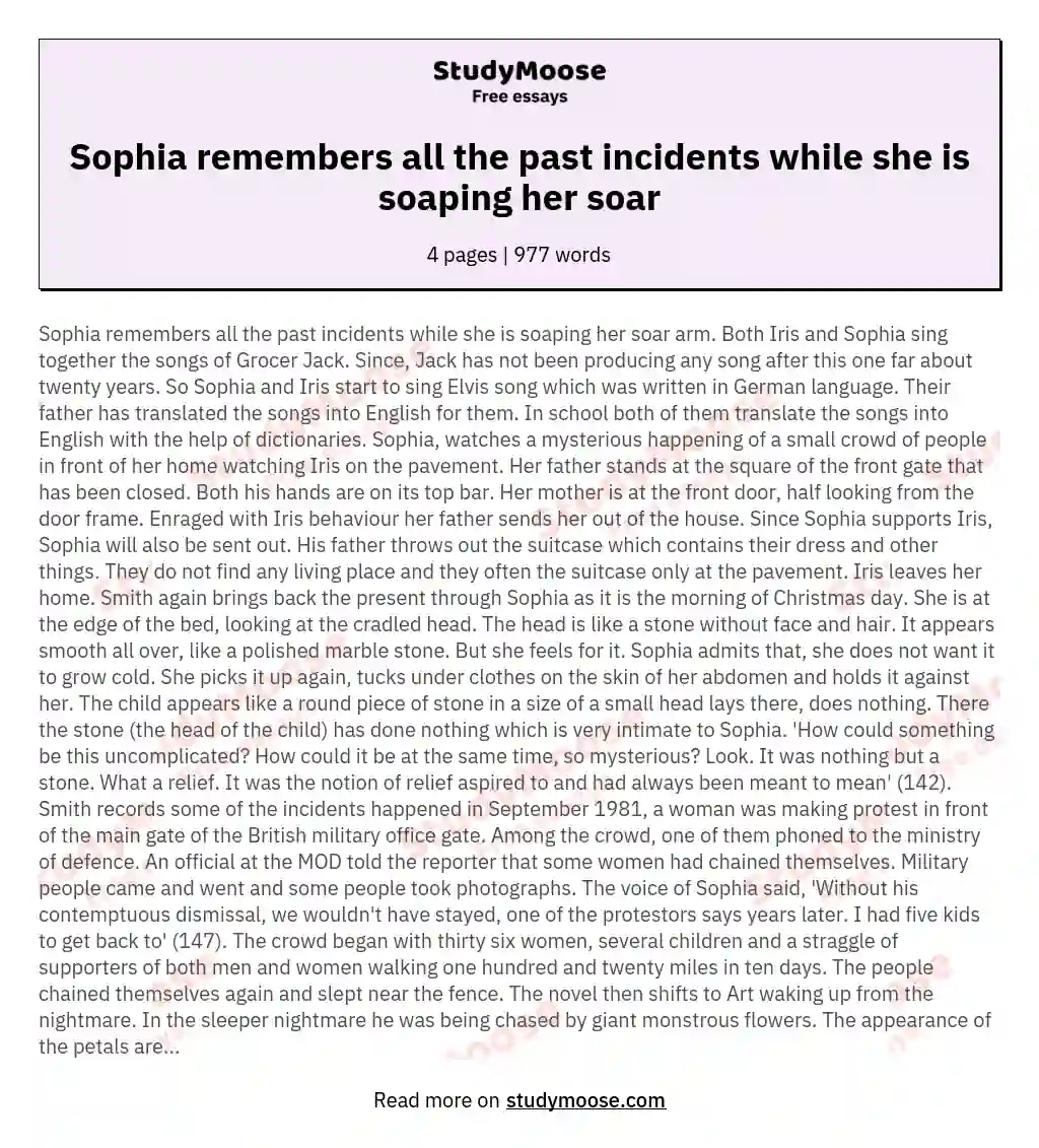 Sophia remembers all the past incidents while she is soaping her soar essay