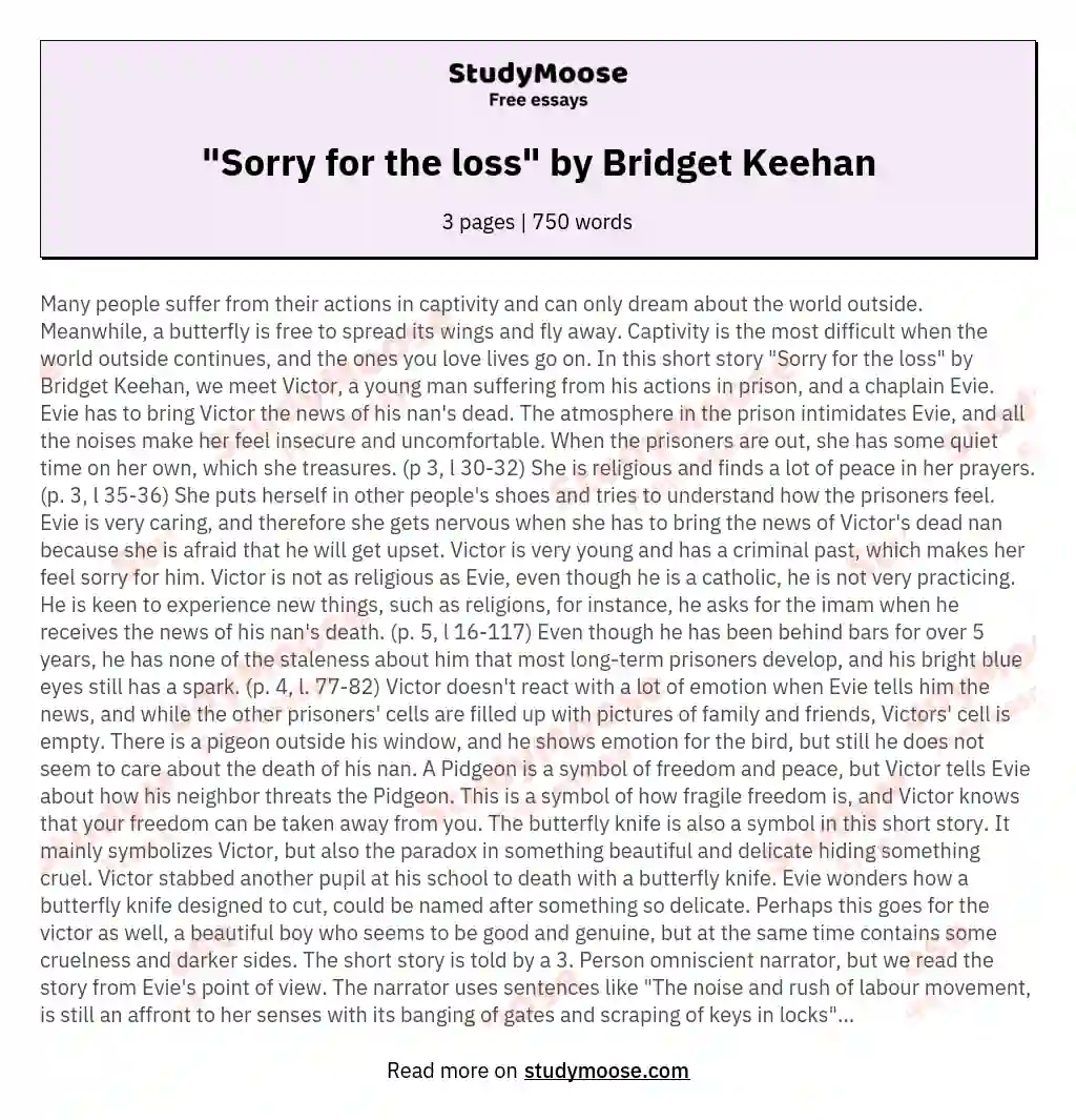 "Sorry for the loss" by Bridget Keehan essay