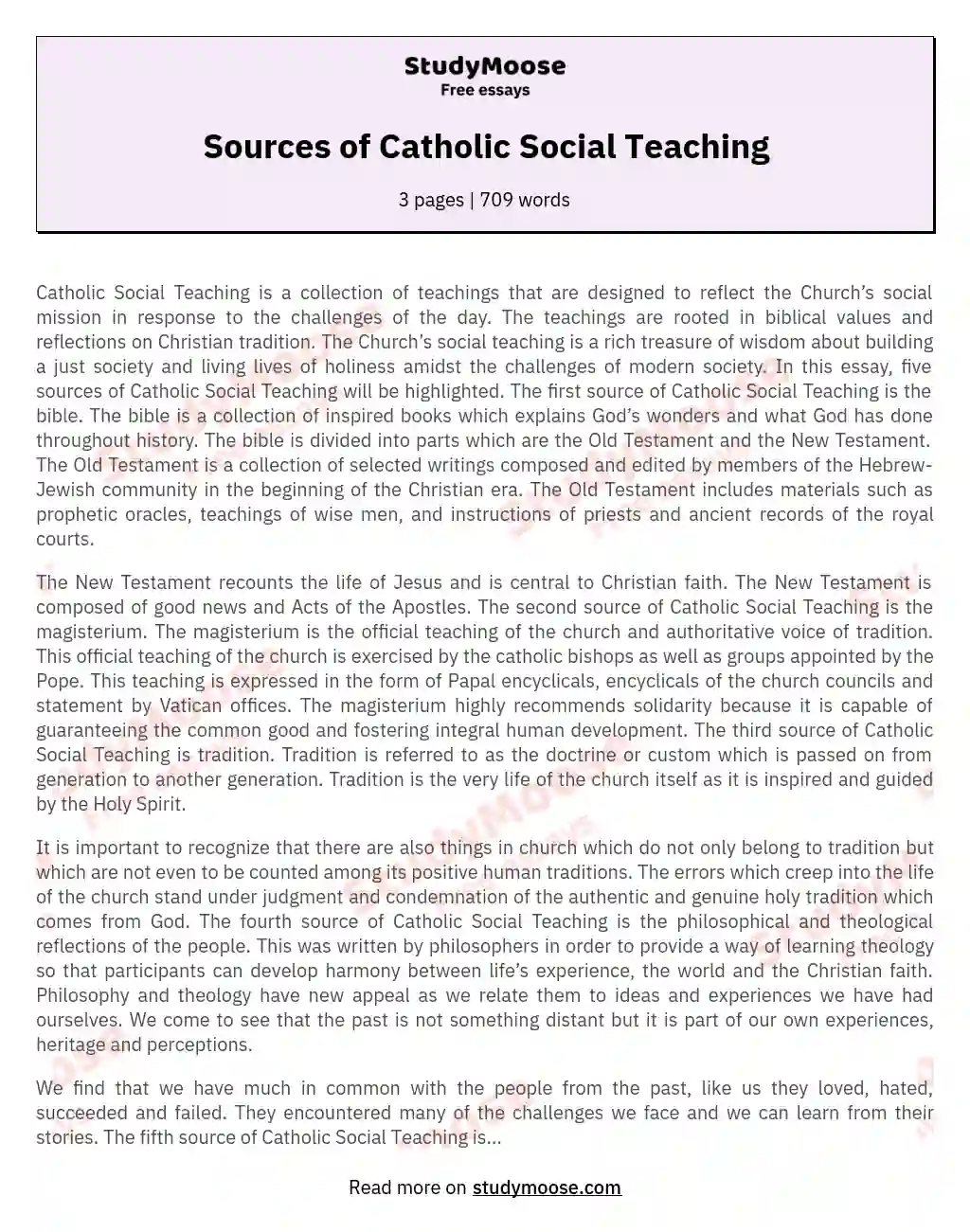 Sources of Catholic Social Teaching essay
